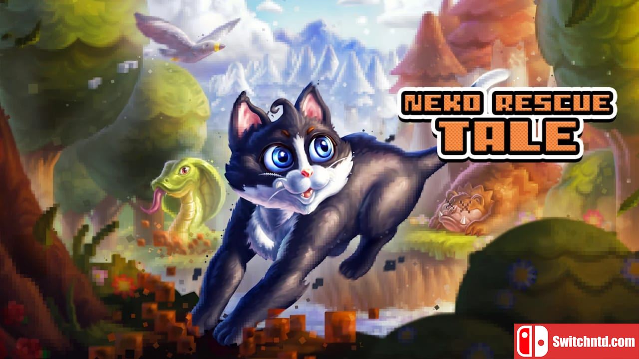 小猫救援故事丨Neko Rescue Tale