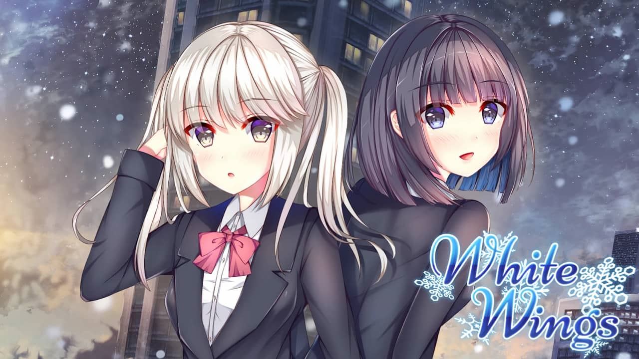 白色之翼丨White Wings