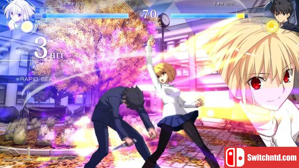 switch金手指——《月姬格斗：TYPE LUMINA》v1.2.5