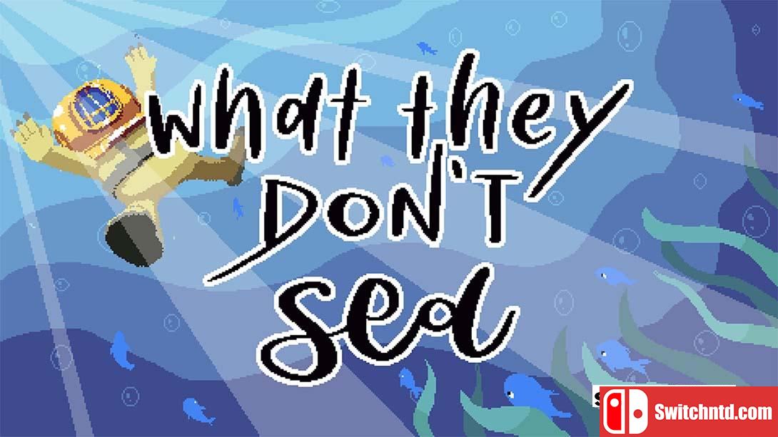 【美版】What They Dont Sea 英语