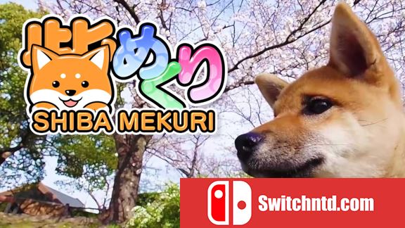 像素游戏制作大师：我爱一条柴  Pixel Game Maker Series Shiba Mekuri