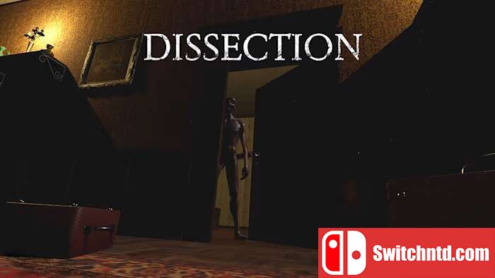 解剖丨Dissection