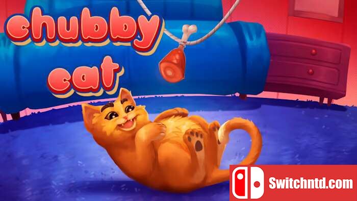 胖乎乎的猫丨Chubby Cat