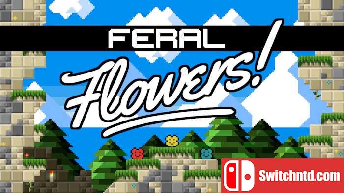野花丨Feral Flowers