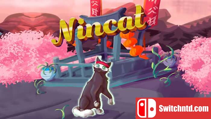 忍者猫丨Nincat