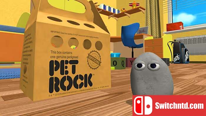 宠物石丨Pet Rock