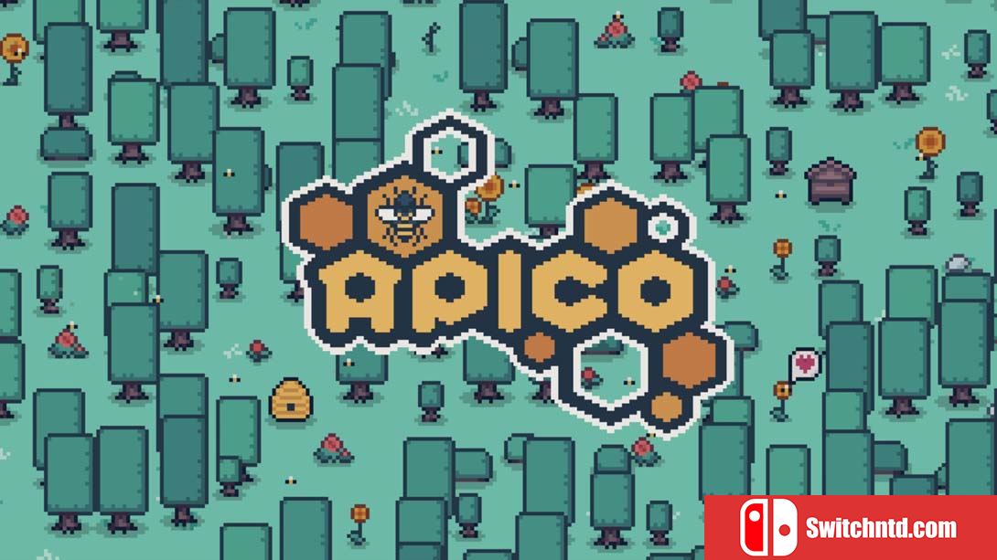 【美版】APICO 英语