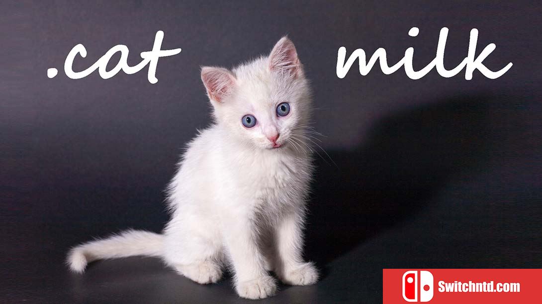 猫奶 Cat Milk 英语
