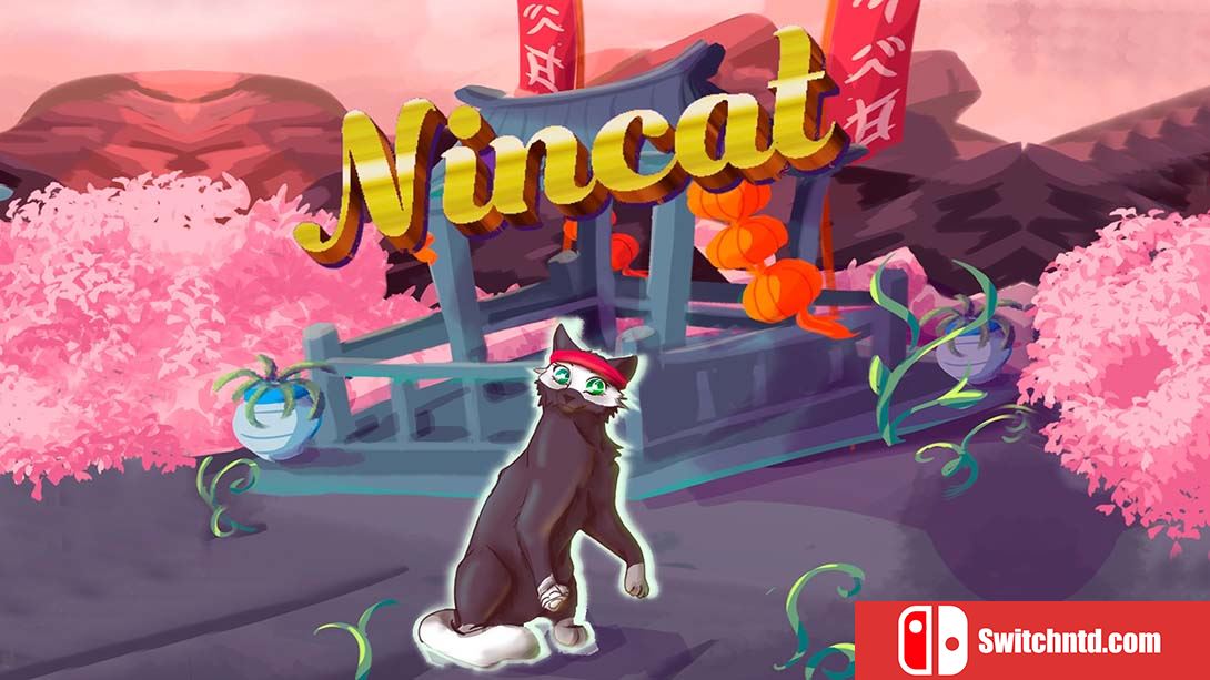 【美版】猫九 NinCat 英语
