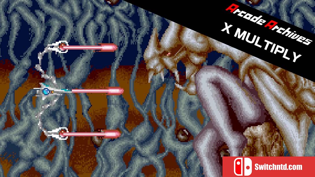 Arcade Archives X MULTIPLY 英语
