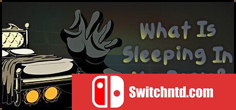 《什么睡在我房间？（What Is Sleeping In My Room?）》TENOKE镜像版[EN]