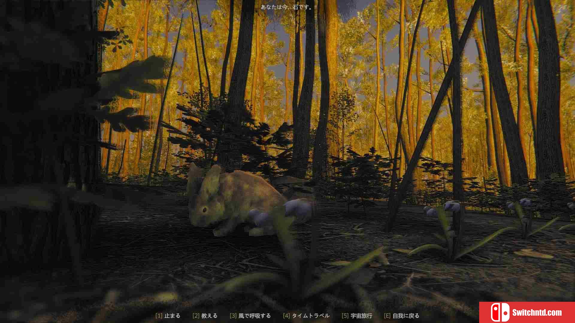 PC《正念模拟器：ASMR冥想游戏 Mindfulness Simulator – ASMR Meditation Game》中文版下载