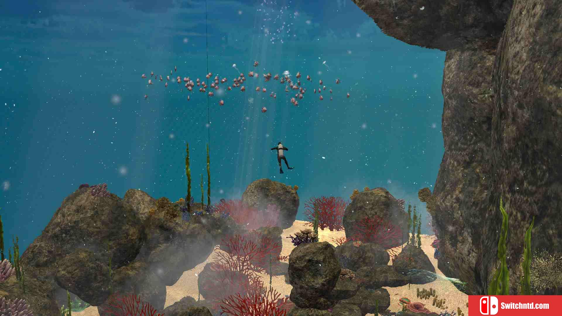 PC《放松,只是水 Relax It’s Aqua》英文版下载