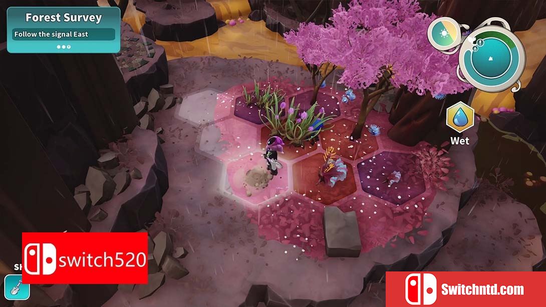 【美版】远花 .Distant Bloom 英语_1