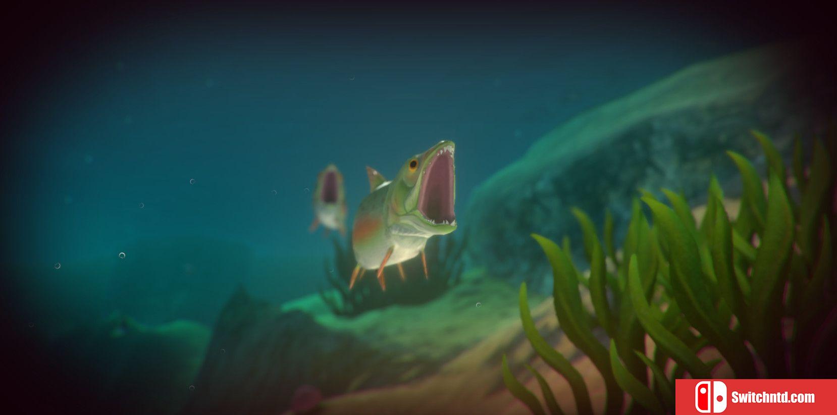 《海底大猎杀（Feed and Grow: Fish）》v0.13 P2P硬盘版[EN]_4
