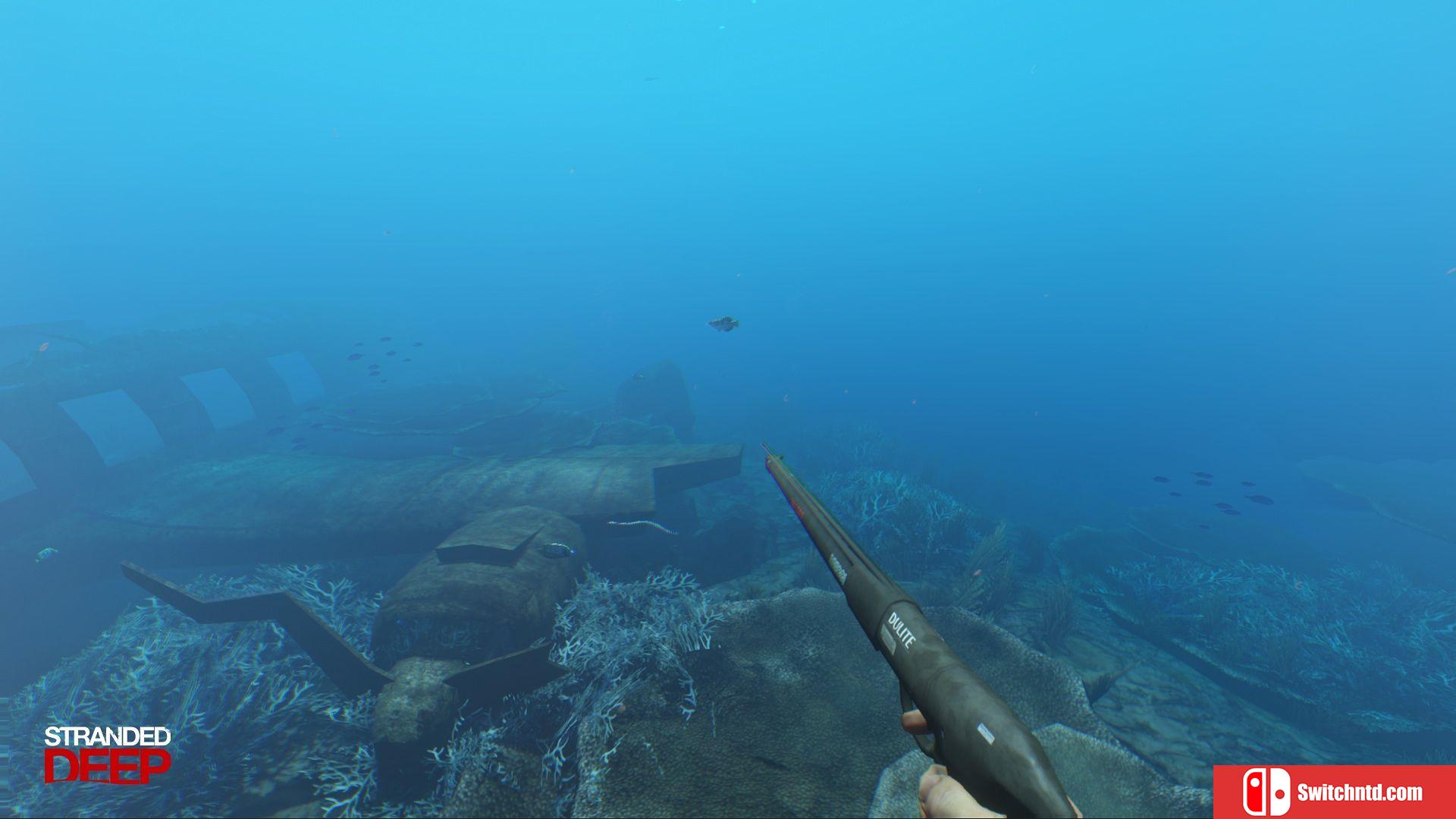《荒岛求生 （Stranded Deep）》v0.48.01 免安装未加密版[EN]_4