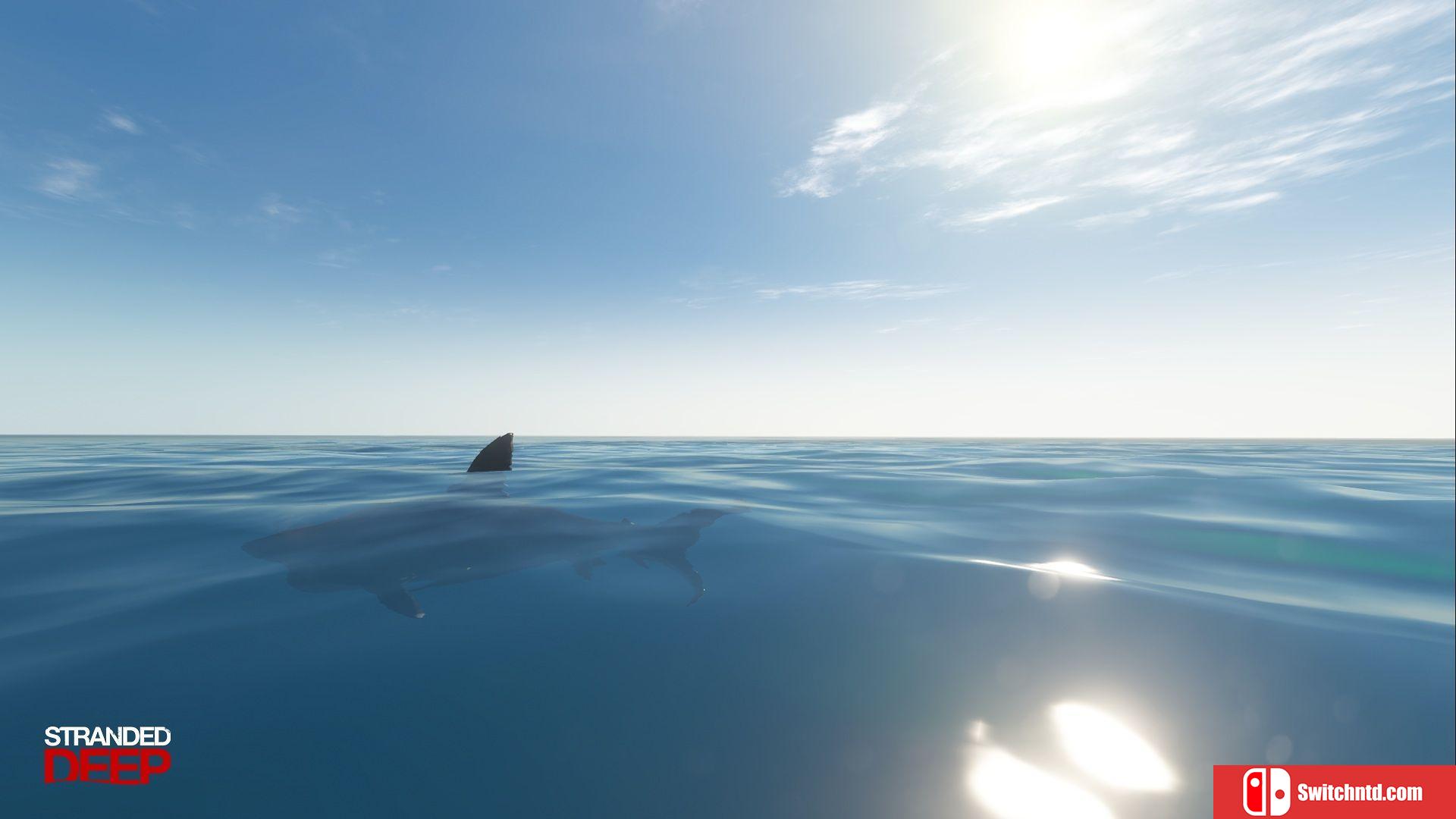 《荒岛求生 （Stranded Deep）》v0.48.01 免安装未加密版[EN]_2