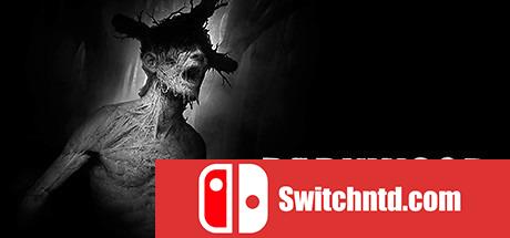 《阴暗森林（Darkwood）》v1.3 PLAZA镜像版[EN]