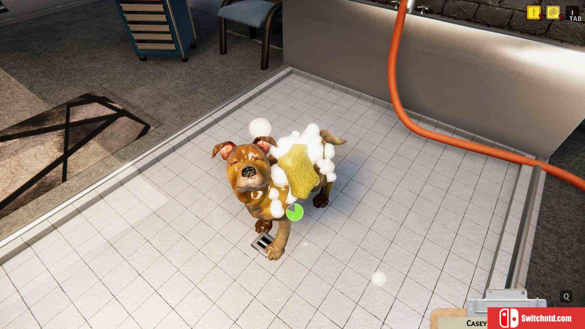 《动物庇护所（Animal Shelter）》官方中文 集成小狗和小猫DLC DOGE镜像版[CN/TW/EN/JP]_1