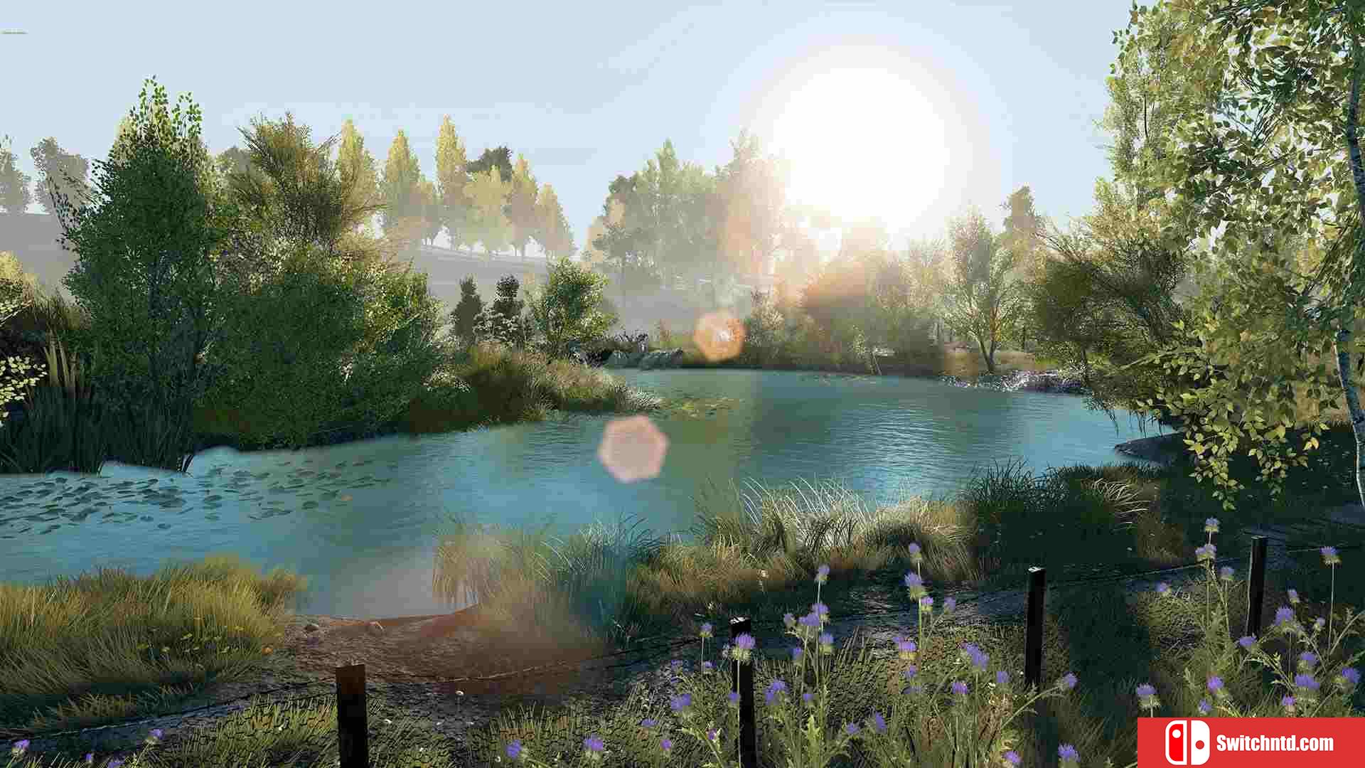 《欧洲钓鱼模拟（Euro Fishing）》集成Waldsee DLC CODEX镜像版[EN]_8